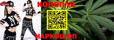 спиды Обь