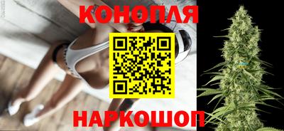 спиды Обь