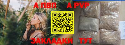 спиды Обь