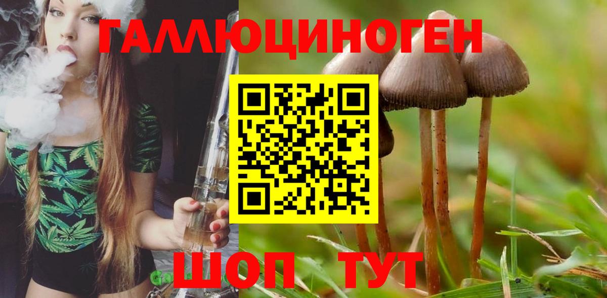 Галлюциногенные грибы Cubensis  Вход с VPN  дарнет шоп  Псилоцибиновые грибы Psilocybe  Рузаевка 